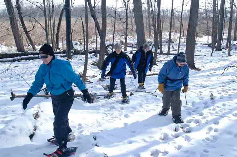 Snowshoers in the woods