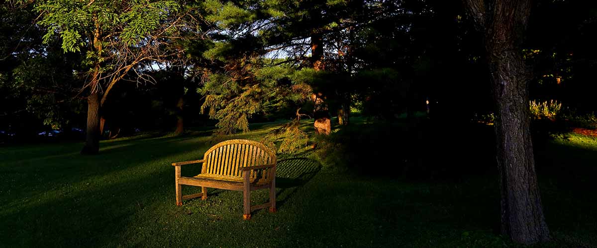 Garden bench in the sun light