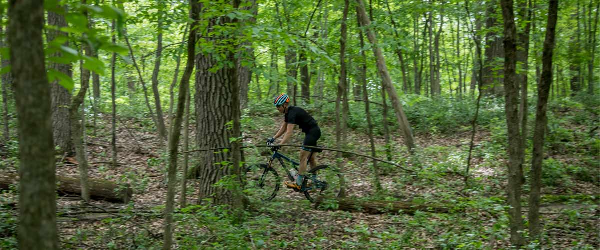 a mountain biker rides through the woods.