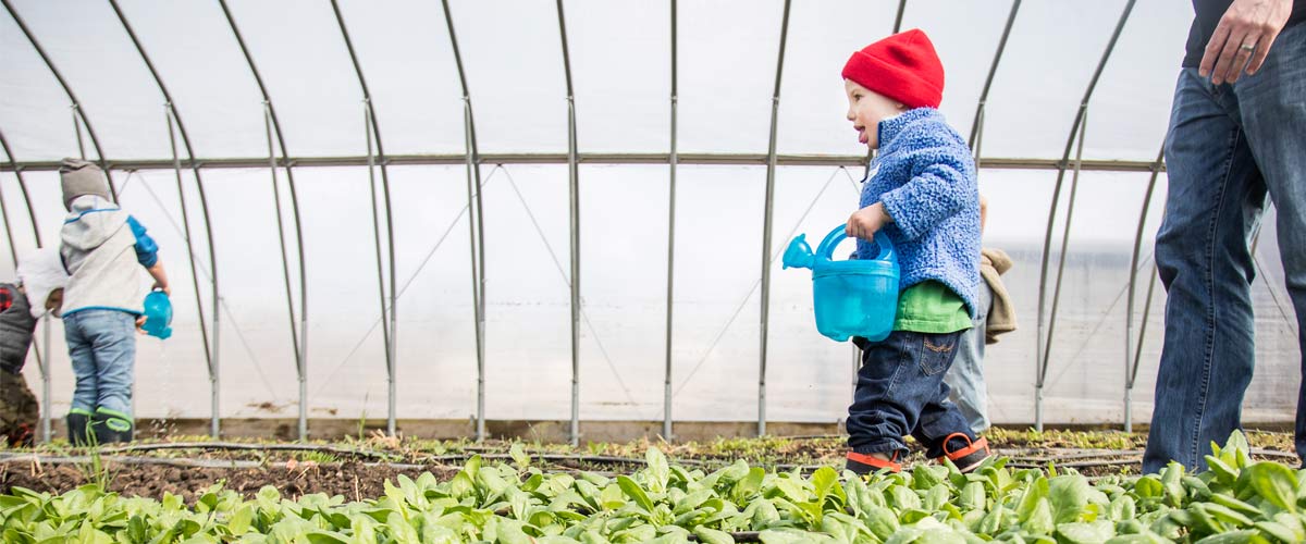 a boy in a red had holds a blue watering can and walks along small plants in a greenhouse.