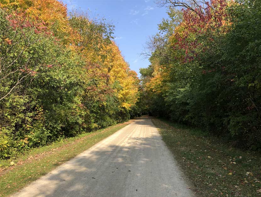 Fall colors burst along the edges of a dirt bike trail.