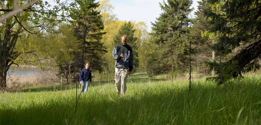 Two men hike through a grassy area looking for a geocache.