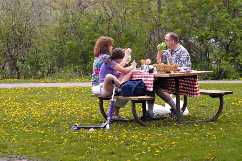 Girl enjoying a hotdog at a picnic