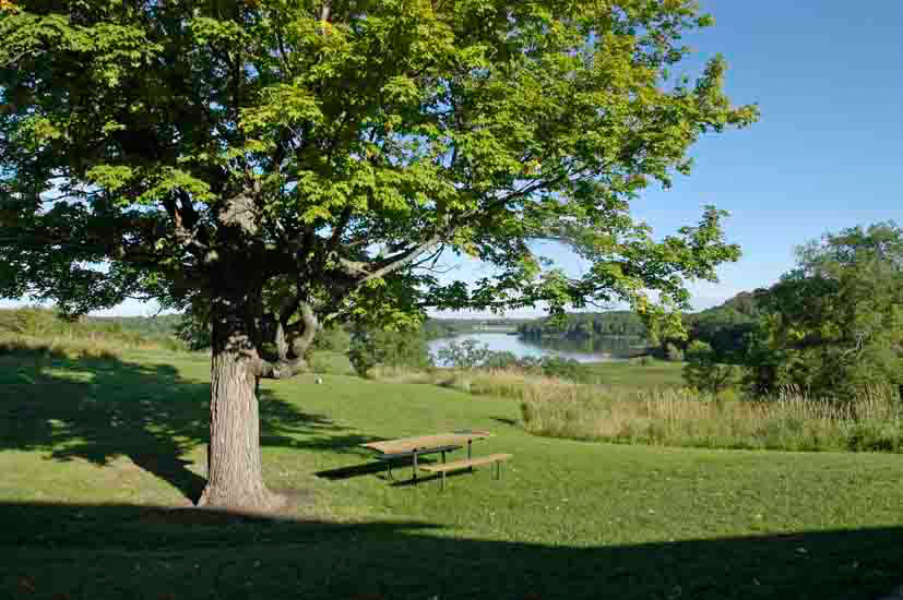 View of picnic area and lake