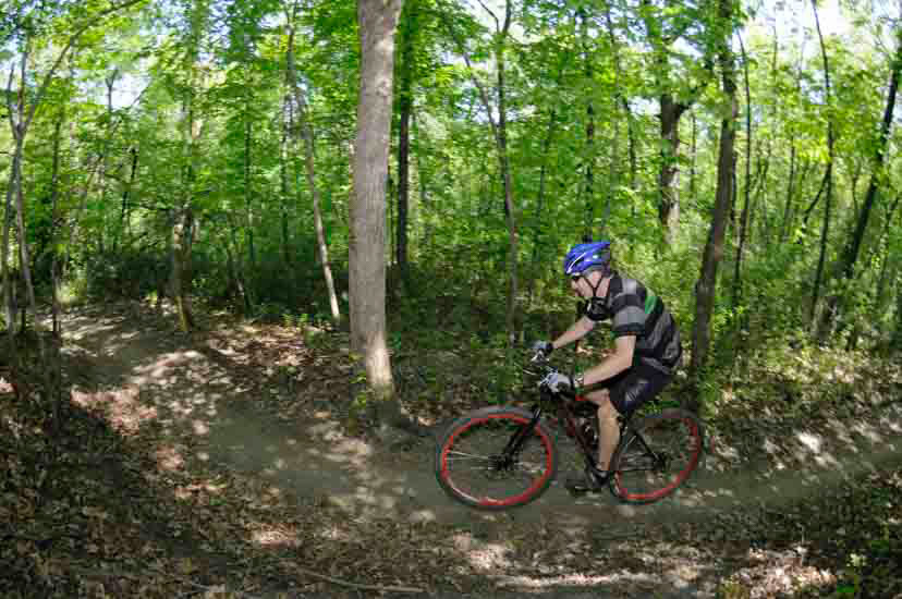 Mountain biker on wooded trail