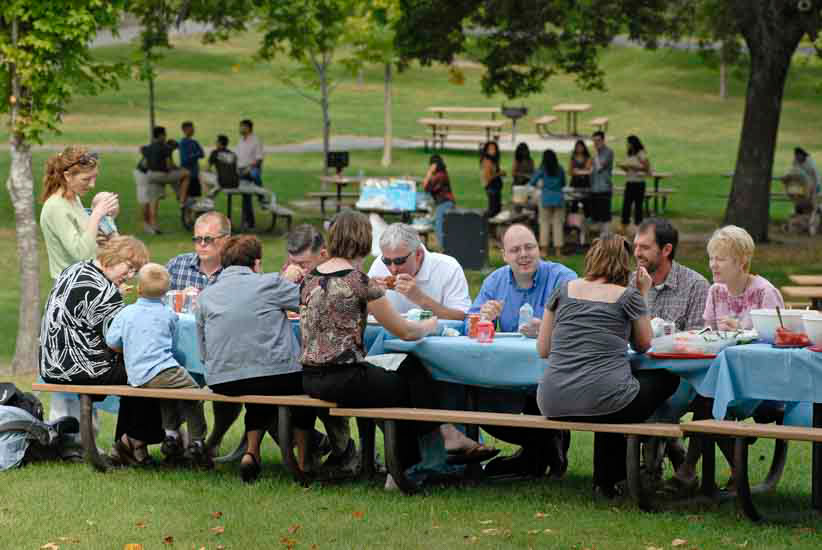 Large group picnic