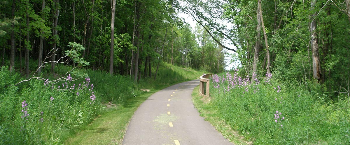 Paved Trail