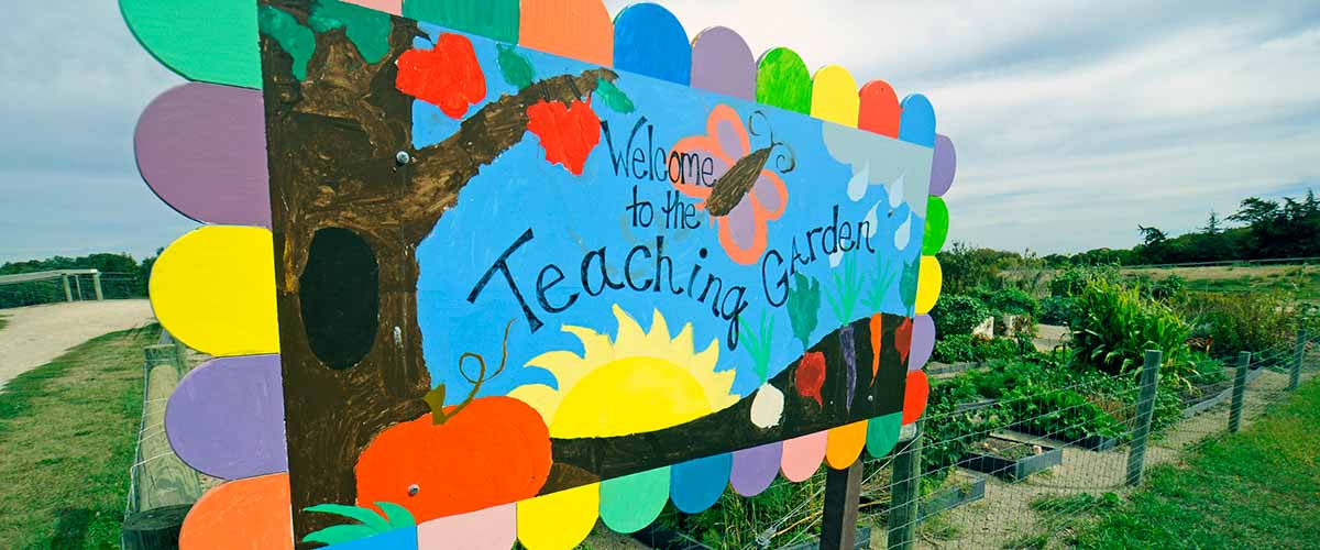 Colorful sign for the teaching garden