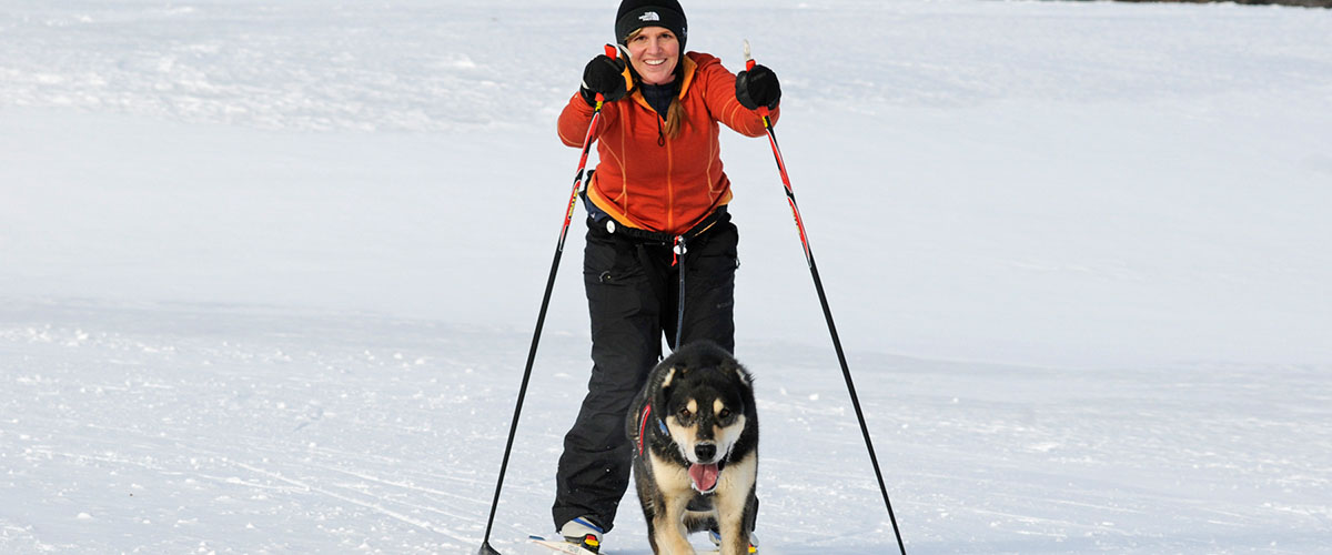 Women on skis with dog pulling