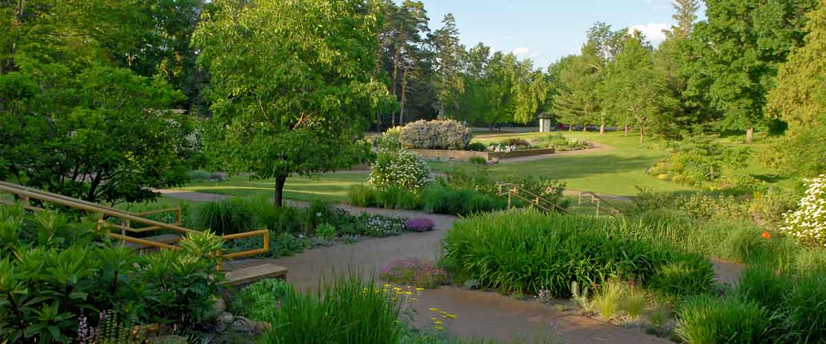 Vista of the garden