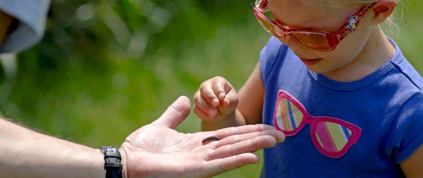 girl touching an insect