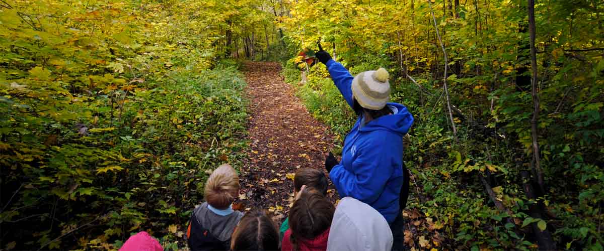 children exploring the forest with a nature educator