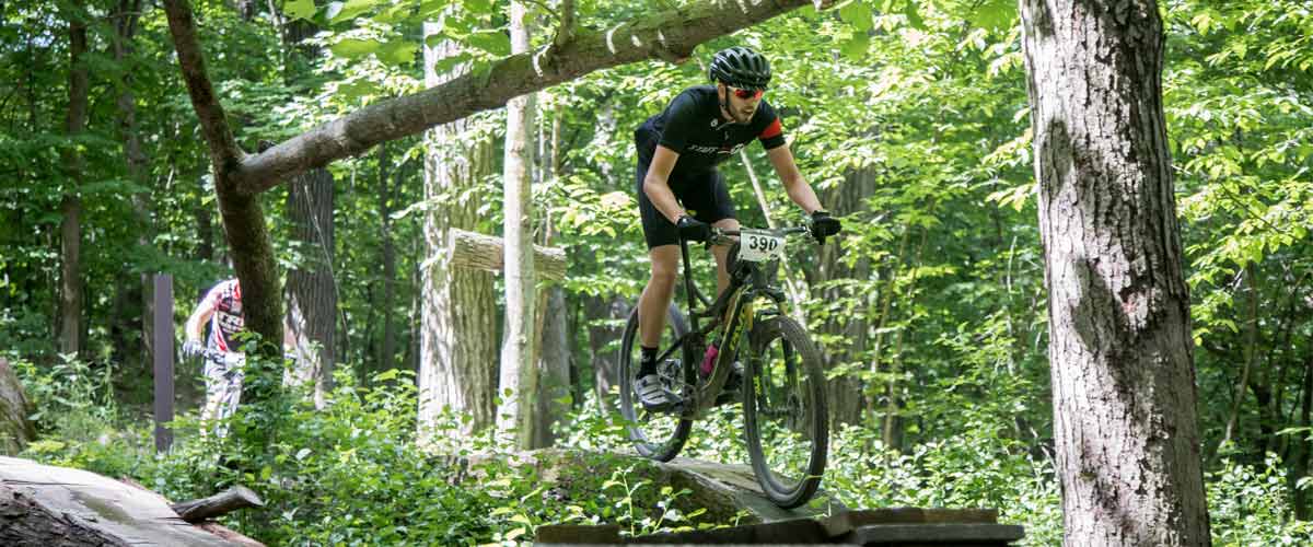 mountain biker on a wooded trail
