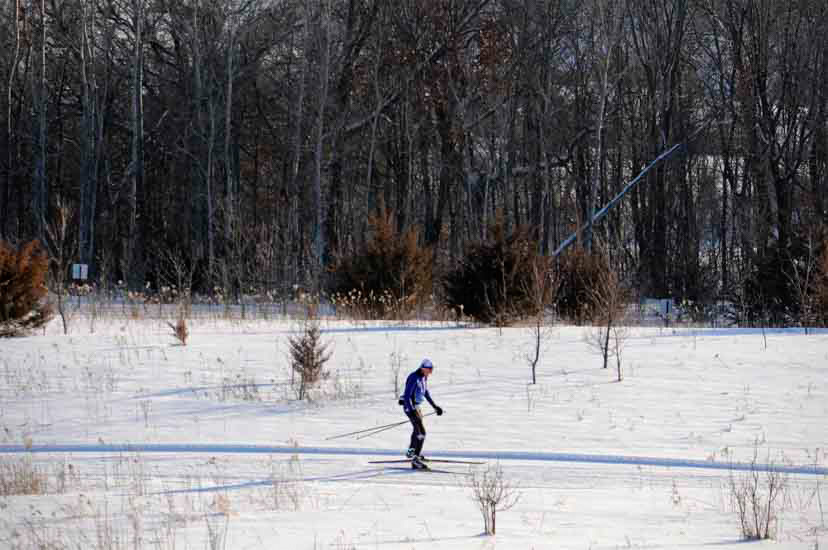a skiier on a wooded trail