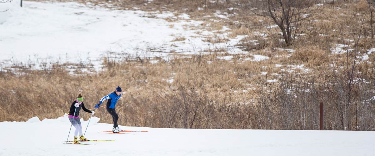 two cross-country skiers on a snowy trail with brown grasses behind them.