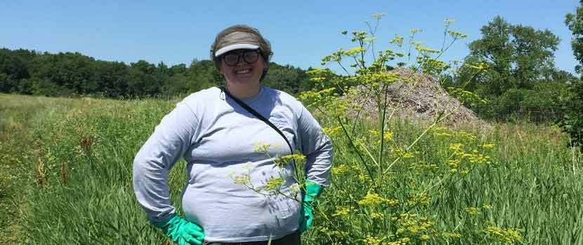 woman in a prairie wearing gloves, hat and long-sleeved shirt standing next to a tall, full-grown wild parsnip plant
