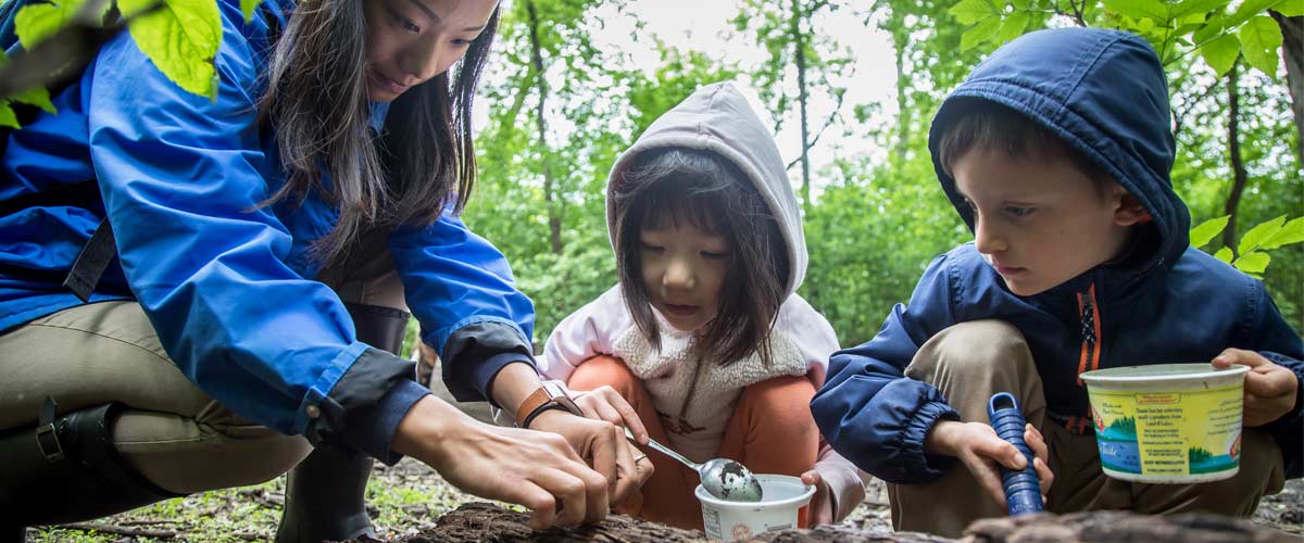 A woman teaches a boy and a girl about nature in the woods.
