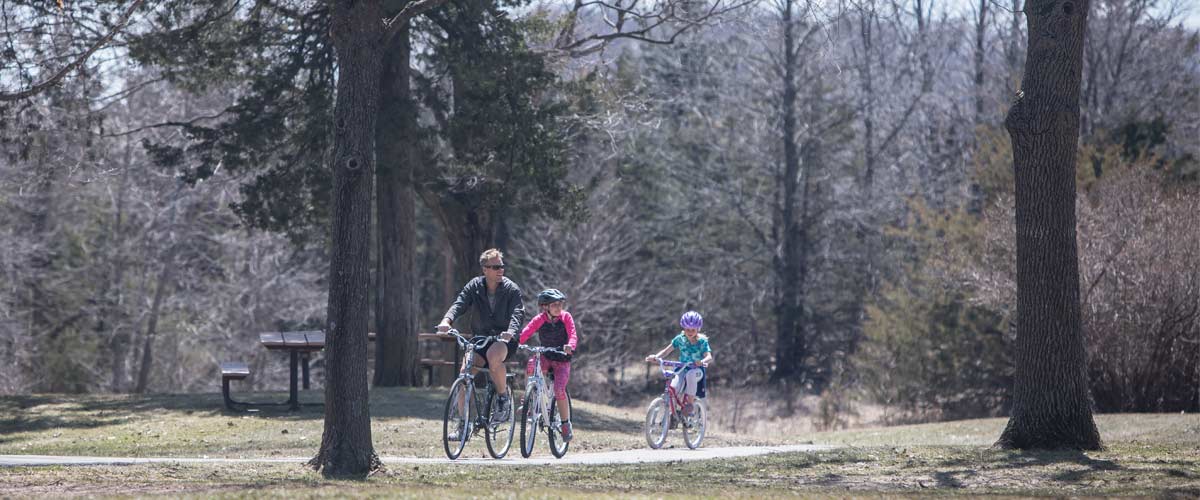 a man and two kids ride bikes through large trees on a paved trail.