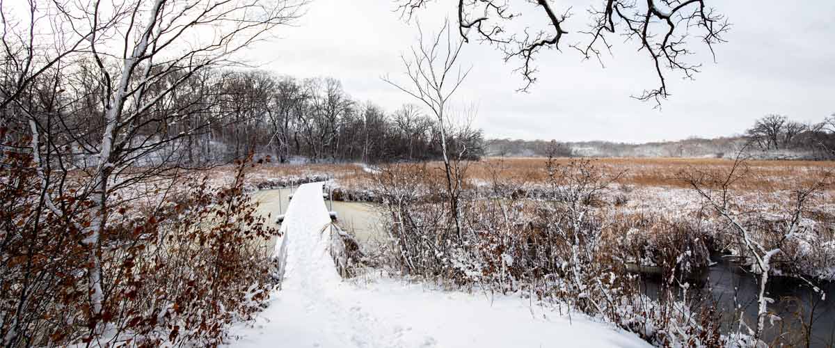 A snowy trail through the woods opens up to a snow-covered boardwalk through wetlands.