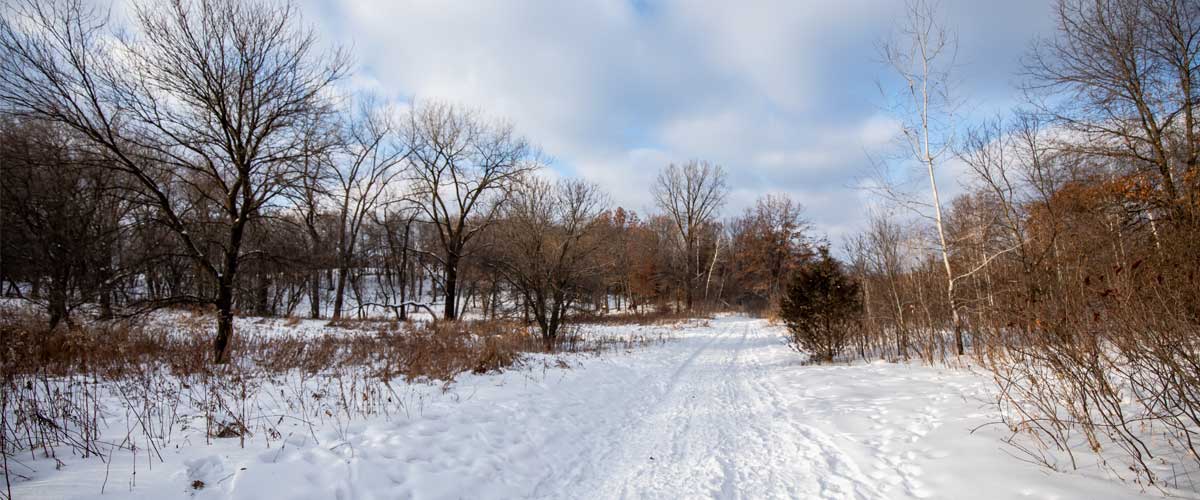A trail goes through a wooded area in the winter.