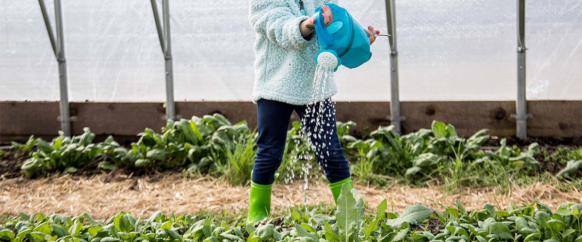 girl watering seedlings in a greenhouse