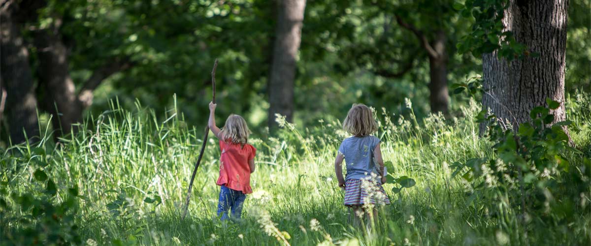 Two girls walk into the woods using hiking sticks.