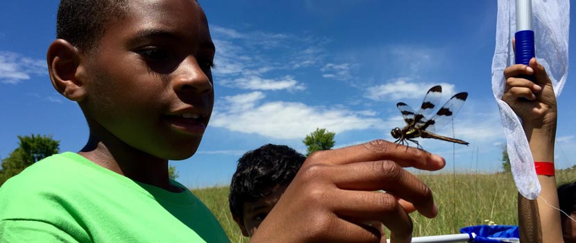 A boy looks at a dragonfly that has landed on his finger.