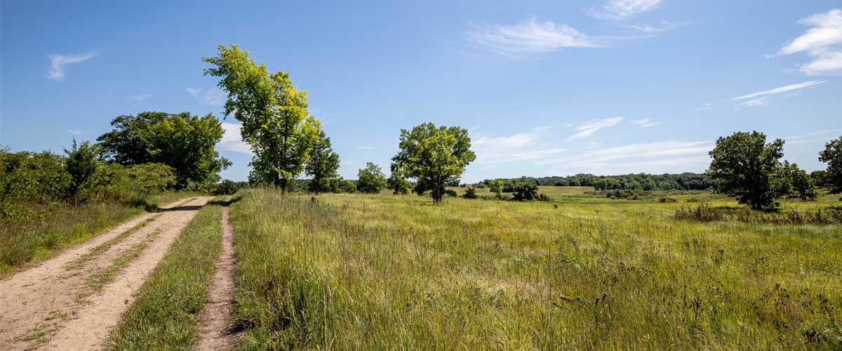 A dirt trail cuts through open grassland on a blue-sky day. 