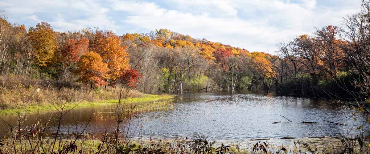 A pond is framed by colorful trees in the fall.