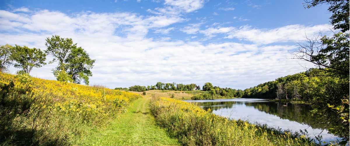 A mowed path through a prairie area cuts past a lake.