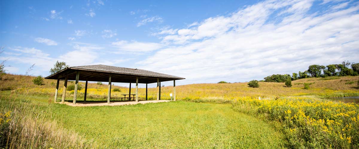 A picnic shelter stands in an open grassy area on a blue sky day.