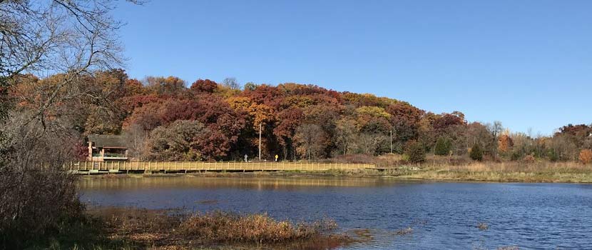 Trees change color in the fall along a lake.