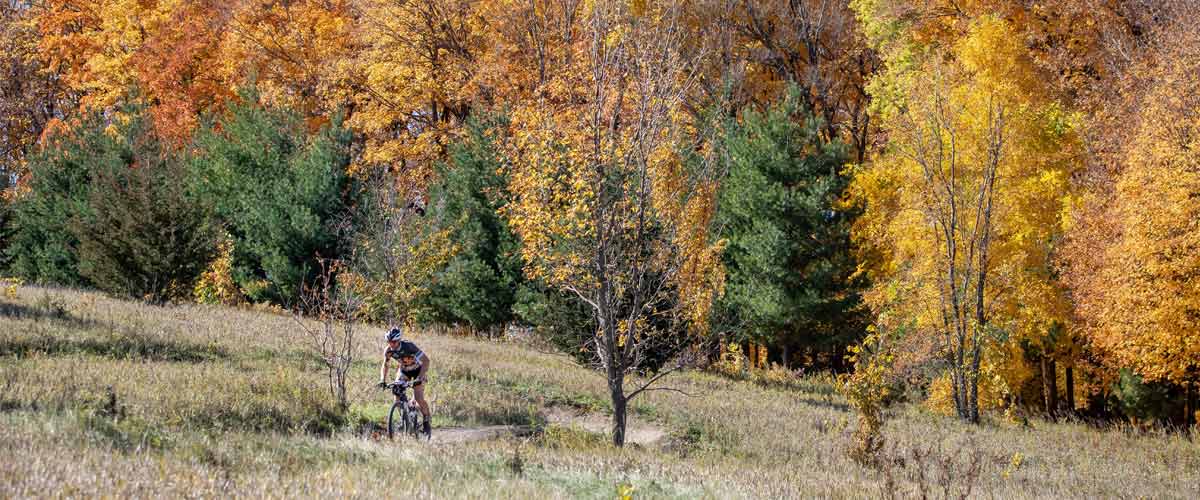 A man rides a mountain bike trail through a grassy area. In the background, a row of trees is ablaze with yellow and orange in the fall.