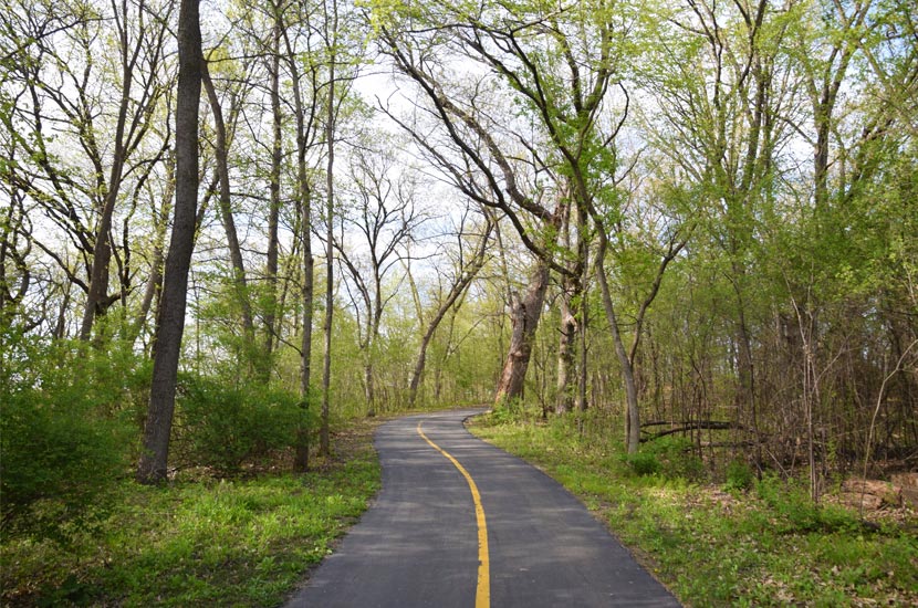 A paved path goes through a wooded area in the spring. 