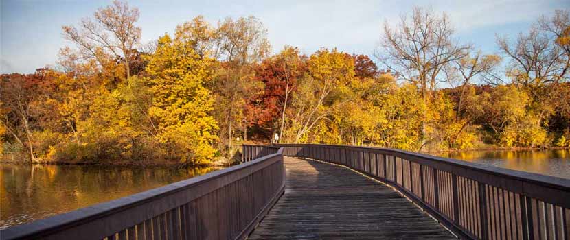 A wooden bridge leads to a vibrant tree line of gold and red trees at Silverwood Park. 