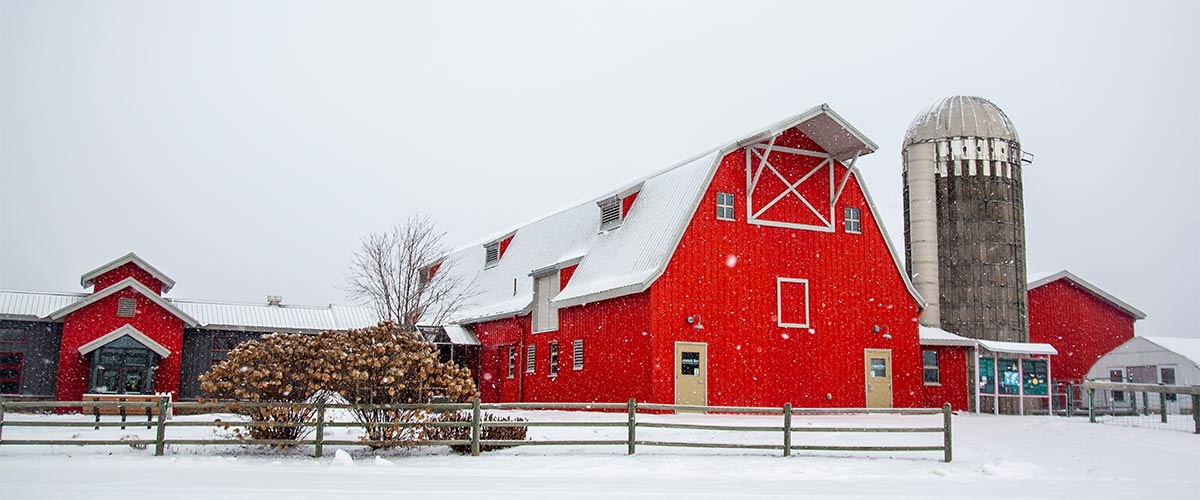 red barn and gray silo at Gale Woods Farm in Minnetrista, Minnesota with a snowy yard and fence in the foreground