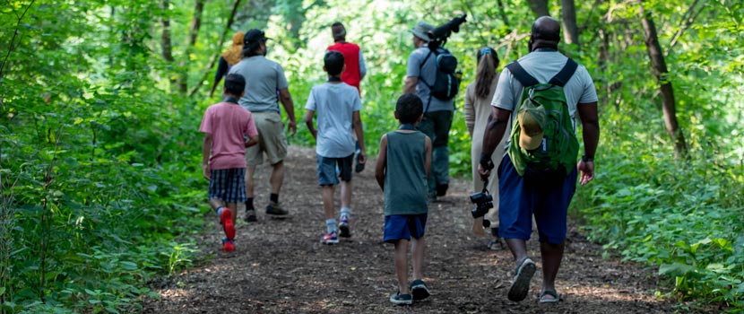 A group of people walks on a dirt path between green foliage, wearing backpacks and carrying binoculars.