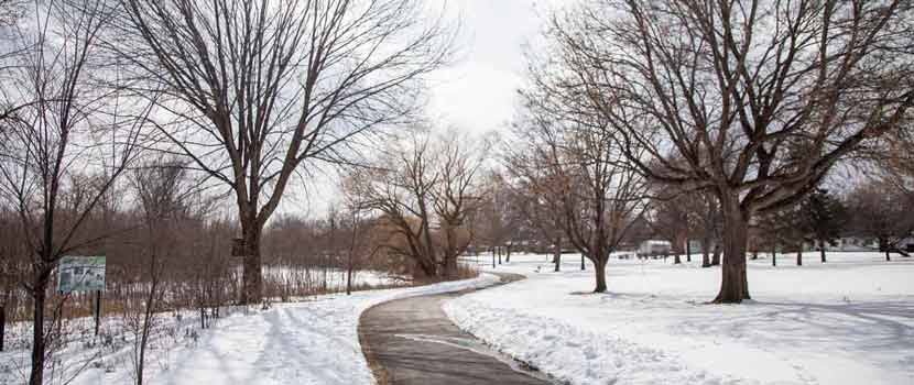 A paved path, shouldered by white snow, winds between tall trees with barren branches.