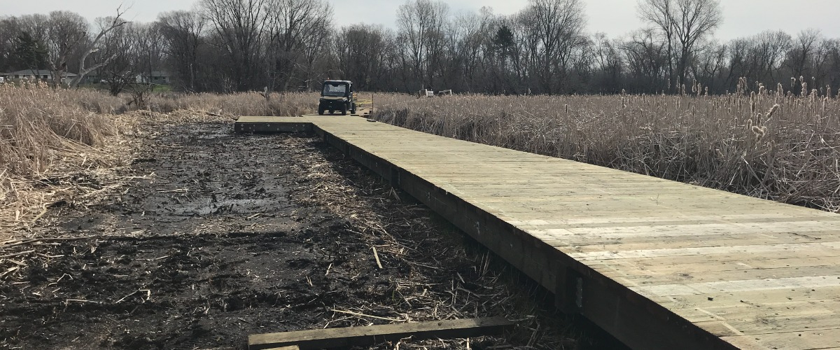 a new section of boardwalk at the Crystal MAC Wildlife Area