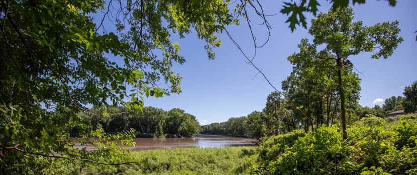 Lush green leaves and foliage frame the Minnesota River at the Landing.