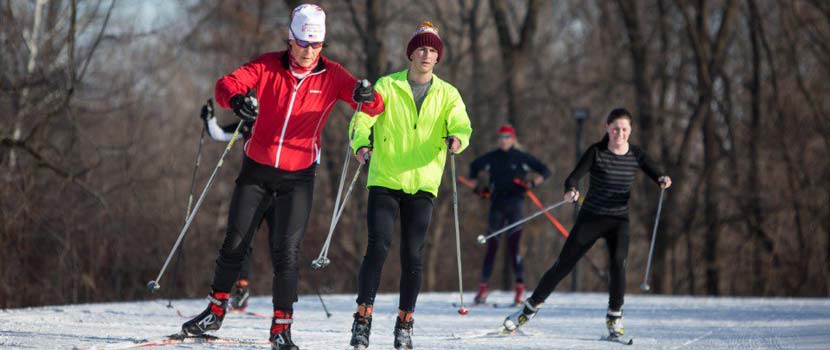 Four people cross-country ski.