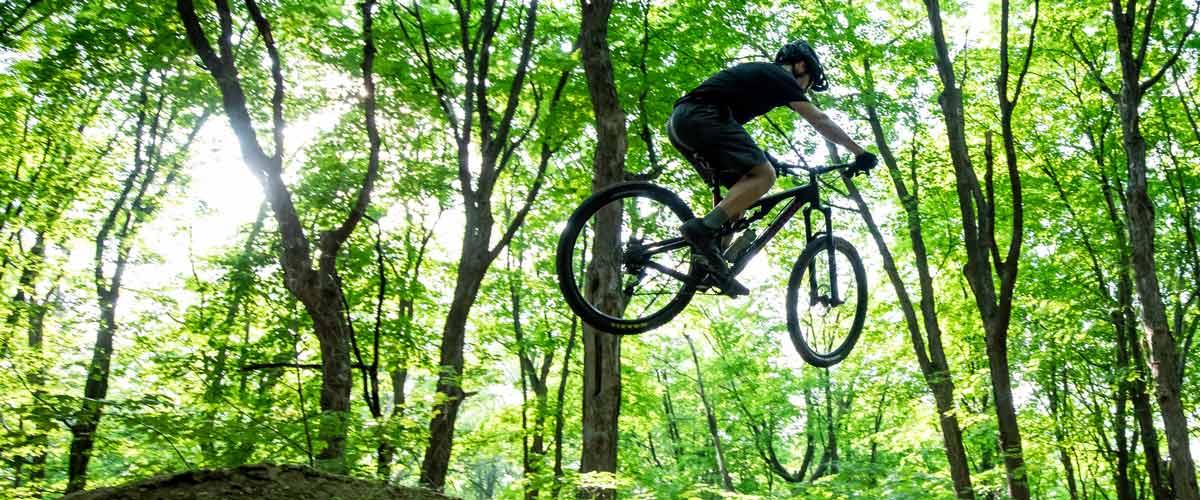 A mountain biker catches air off of a dirt roller on the Paradise Playground area of the Monarch Singletrack with the sun streaming through the green of the forest around.