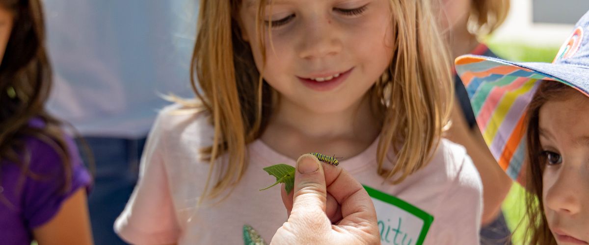 A girl looking at a bug during a summer camp