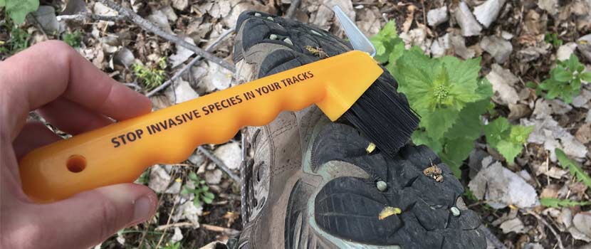 A woman holds a boot brush next to her boot, showing the importance of brushing off your shoes to prevent the spread of invasive species.