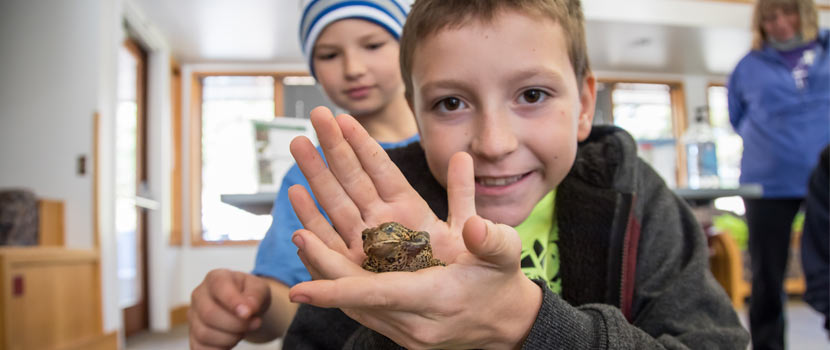 kid holding a frog in his hands