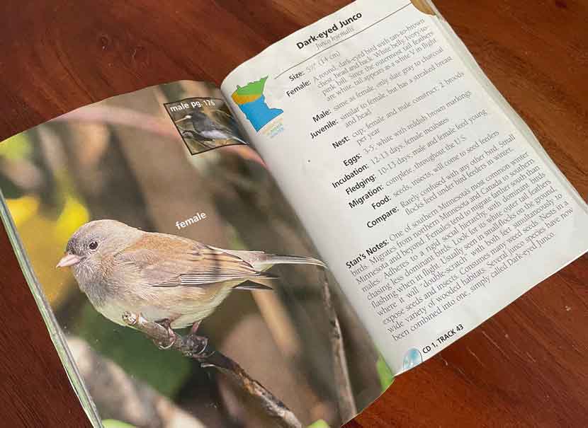 An example of a field guide, showing a photograph of a dark-eyed junco on the left page and a description on the right.