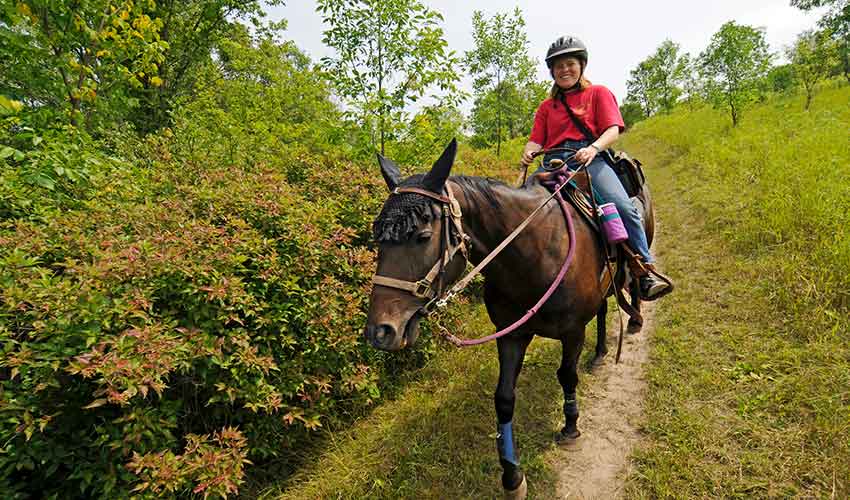 woman riding a horse on a trail