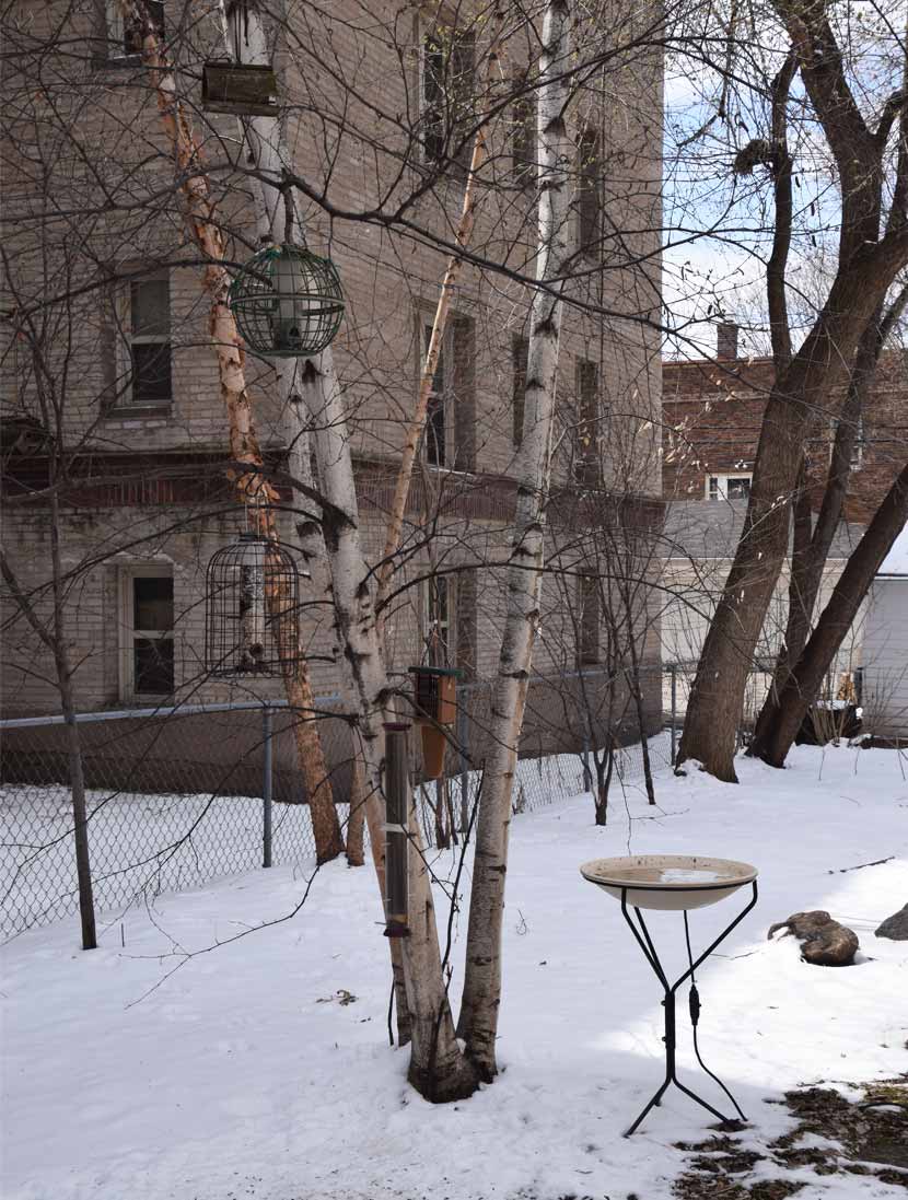 four bird feeders near a tree and bird bath