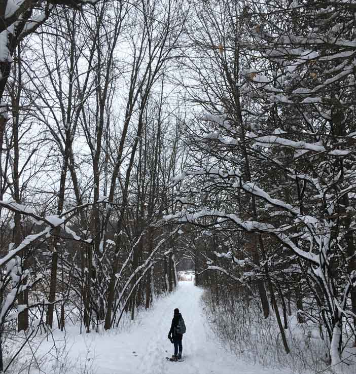 person standing on snowy trail among giant trees