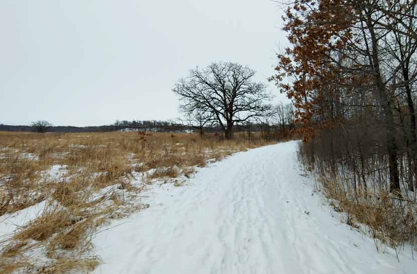 snowy prairie landscape